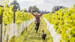 Dziewczyna wśród winorośli