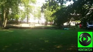 Dziewczynka zginęła przygnieciona przez drzewo