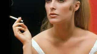 Dziś świat znowu szaleje za Sharon Tate. Na portalach społecznościowych pojawiają się blogi poświęcone jej stylowi