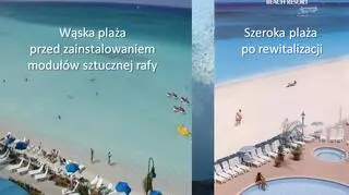 Efekty zastosowania sztucznej rafy