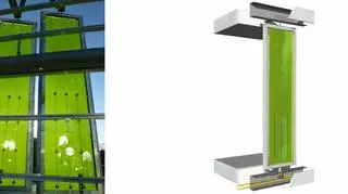 Energia produkowana jest w bio-reaktywnych szklanych panelach wypełnionych glonami