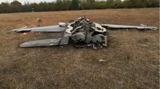 F-16 instruktora uderzył w ziemię na płask, w efekcie czego przyjął formę "naleśnika". Widać brak prawego statecznika poziomego i dziurę w podstawie skrzydła