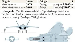F-22 Raptor