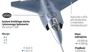 F-35 Lightning II 