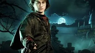 Filmy o Harrym Potterze zarobiły na całym świecie ponad 7 miliardów dolarów