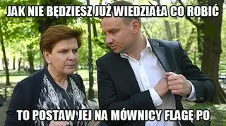 Flaga PO