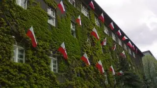 Flagi w pnączach/zdj. od internauty