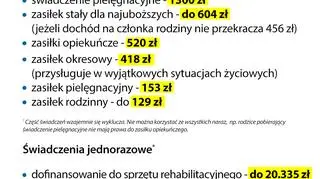 Formy pomocy państwa dla dzieci niepełnosprawnych  i ich rodziców (Polska)