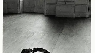 Fot. Carlos Saura. Cristina Hoyos i Antonio Gades na planie filmu "Bodas de sangre" (1981). Własność C.Saura/Circulo del Arte