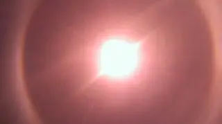 fot. internauta Adam