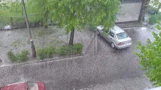 fot. internauta Damian