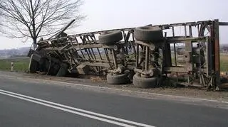fot. internauta Jasny