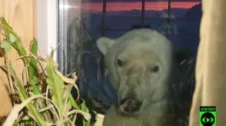 (fot. internauta Michał)