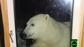 (fot. internauta Michał)