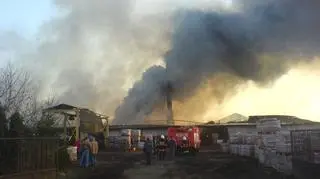 fot. internauta Rocky