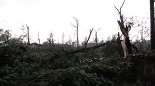 (fot. Jakub Mickiewicz)