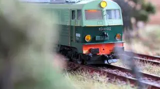 Fot. PAP/Andrzej Grygiel