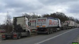 fot: Robert z Polkowic