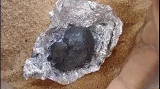 Fragment badanego asteroidy (NASA/Peter Jenniskens)