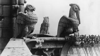 Fragment Katedry Notre-Dame z rzeźbami, 1925 - 1939r.