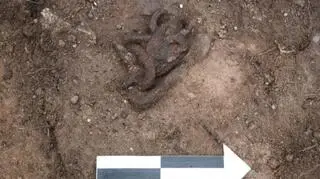 Fragment łańcucha egzekucyjnego odnaleziony w Złotoryi