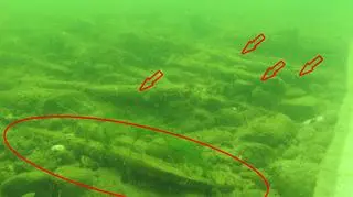 Fragmenty pistoletów znaleziono około 200 metrów od linii brzegowej