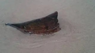 Fragmenty zatopoionego parowozu na plaży w pobliżu Chałup