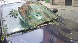 Gałąź rozbiła szybę auta 