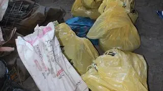 Gdy mężczyźni opuścili skup, kobieta uważniej przyjrzała się zawartości worków