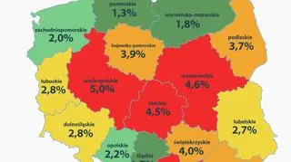 Gdzie jest najwięcej kierowców jeżdżących z telefonami przy uchu