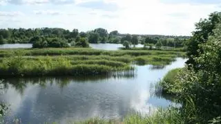 Glinianki na Świerczewie