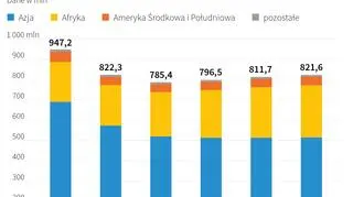Głód na świecie