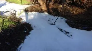 Główna jest prawym dopływem Warty