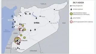 Główne aktywa wojsk Asada