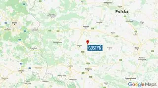 Gostyń w województwie wielkopolskim