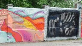 Graffiti ma zachęcać do składania deklaracji dawców narządów