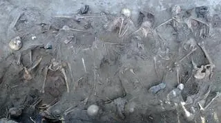 Grób z 27 szczątkami żołnierzy niemieckich ekshumowano na Dolnym Śląsku