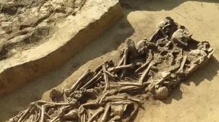 Grób zbiorowy z okresu późnego neolitu z rozczłonkowanymi szkieletami kilkunastu osób