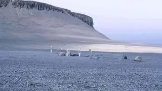 Groby członków ekspedycji na Beechey Island, gdzie ekspedycja Franklina spędziła pierwszą zimę