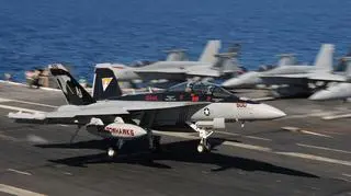 Growlery zazwyczaj stacjonują na lotniskowcach. Teraz wyjątkowo atakują z lądu (Fot. US Navy)