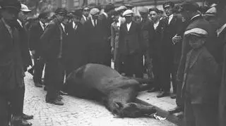 Grupa przechodniów podczas oglądania na ulicy zabitego konia