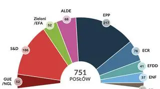 Grupy polityczne w Parlamencie Europejskim (stan na kwiecień 2019)