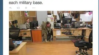 Hakerzy przejęli kontrolę nad stroną