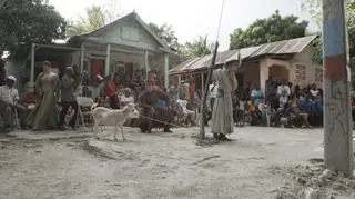 "Halka" na Haiti reprezentuje Polskę na 56. Biennale Sztuki w Wenecji
