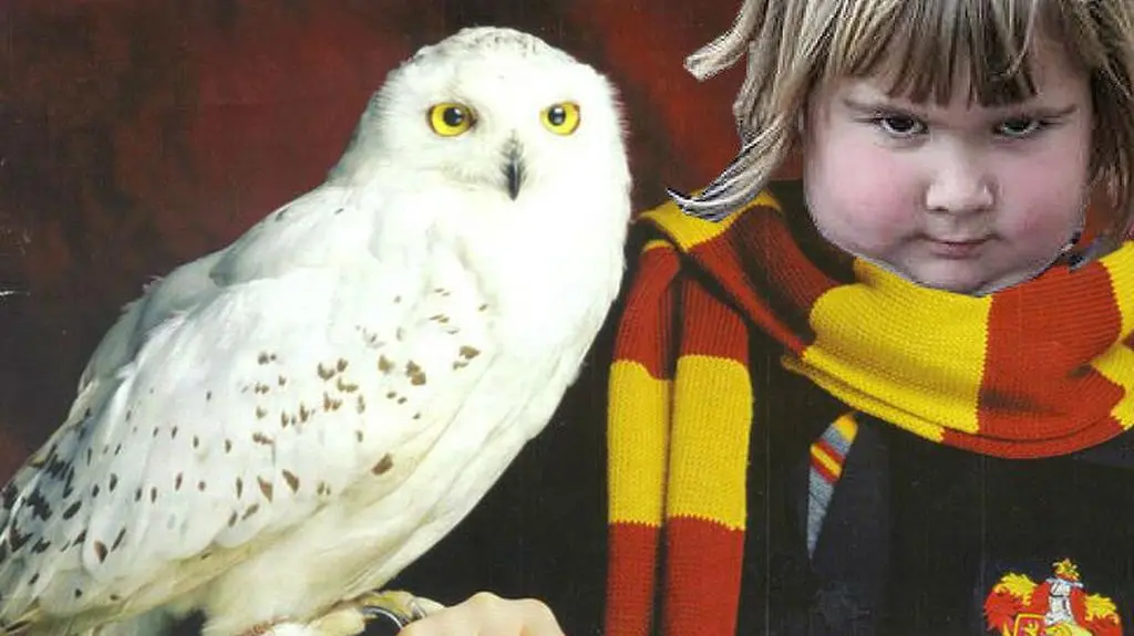 "Harry Potter"