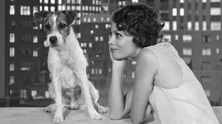 Aktualnie czytasz: Uggie, pierwszy pies zaproszony na Oscary