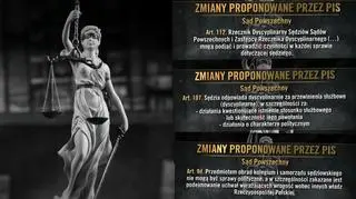 Igor Sokołowski przedstawił w studiu TVN24 kontrowersyjne przepisy projektu nowelizacji