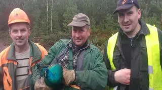 Indyjski paw w lesie na półwyspie