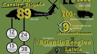 Infografika opisująca w skrócie czym jest 1. Brygada Kawalerii Powietrznej