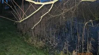 Informacja o setkach martwych ryb trafiła do rybaków w czwartek wieczorem